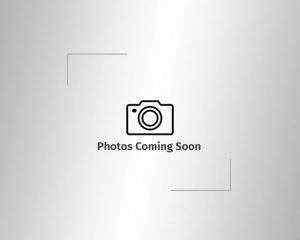 JLG 40 Electric Articulating Boom Lift - 48V DC
